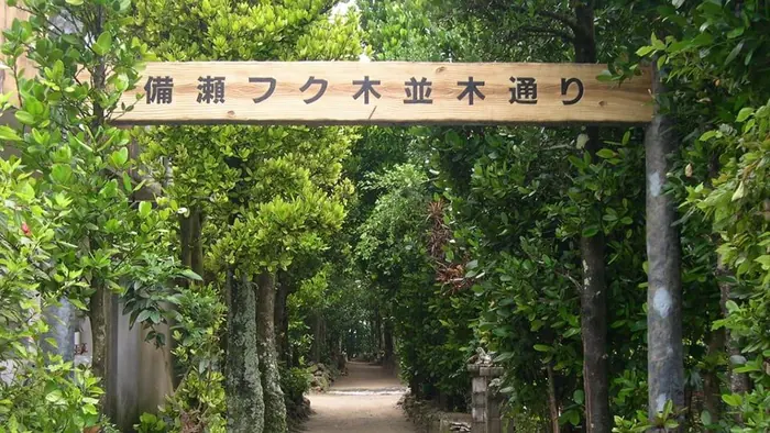 福木林道（備瀨崎）
