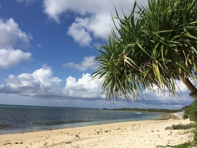 沖繩備瀨 照片集 3