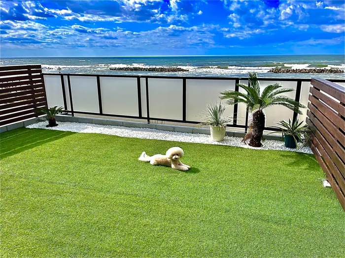 Y-beach（鶴岡） 照片集 5