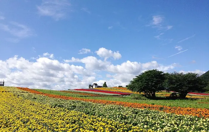 藥萊花園
