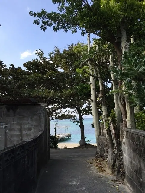 沖繩備瀨 照片集 5