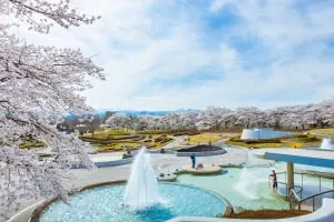 陸奧森之湖畔公園