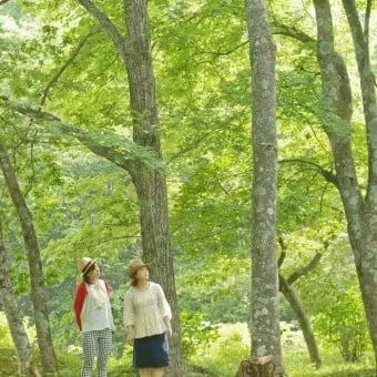 青根自然之森公園