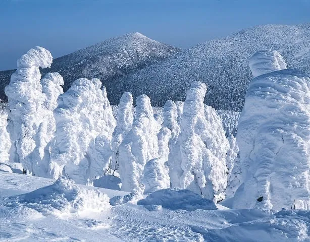 ZAO LOG HOUSE 照片集 1
