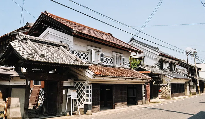 杉 SUGI 照片集 1