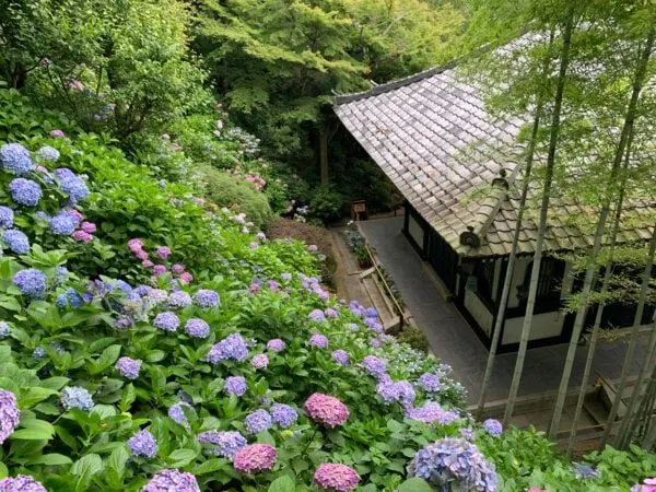 鎌倉由比濱 Room B－神奈川 鎌倉的日本包棟別墅（照片29）