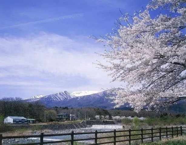 坡上之家 Villa－宮城 川崎的日本包棟別墅（照片41）