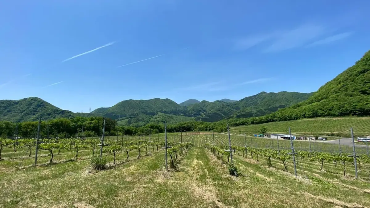 Retreat 了美七森－宮城 大和的日本包棟別墅（照片67）