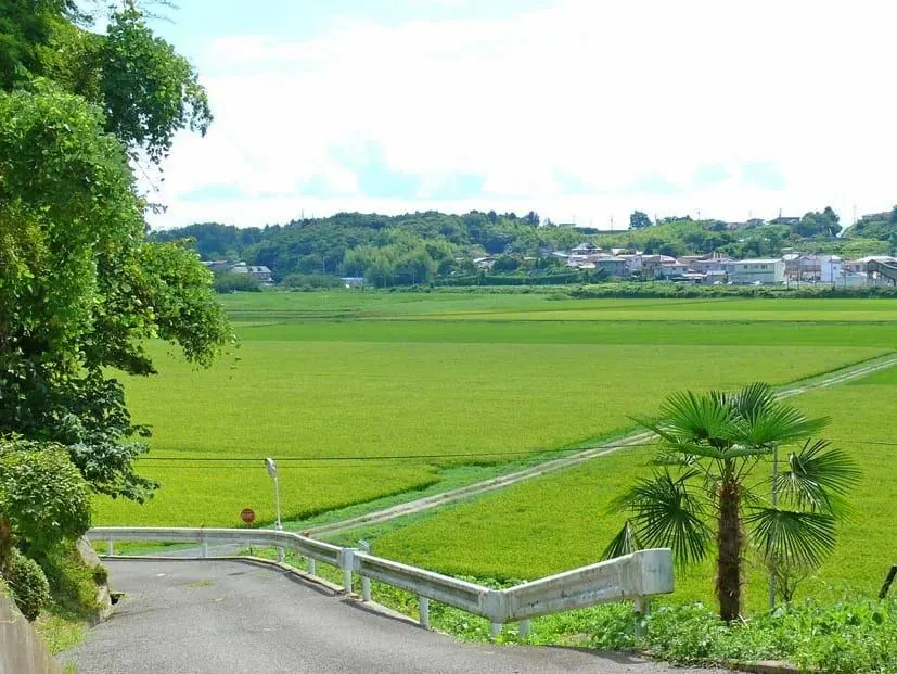 伊豆沼 Lake Hill 天上－宮城 登米的日本包棟別墅（照片19）