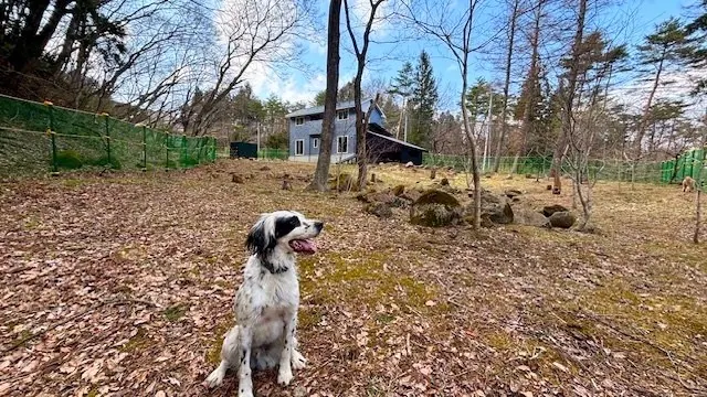 cottage Garden wan－宮城 藏王的日本包棟別墅（照片27）