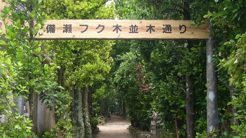 沖繩備瀨－沖繩 本部的日本包棟別墅（照片28）