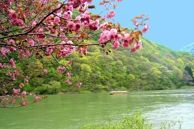 Villa 鳥海山 view－山形 酒田的日本包棟別墅（照片28）