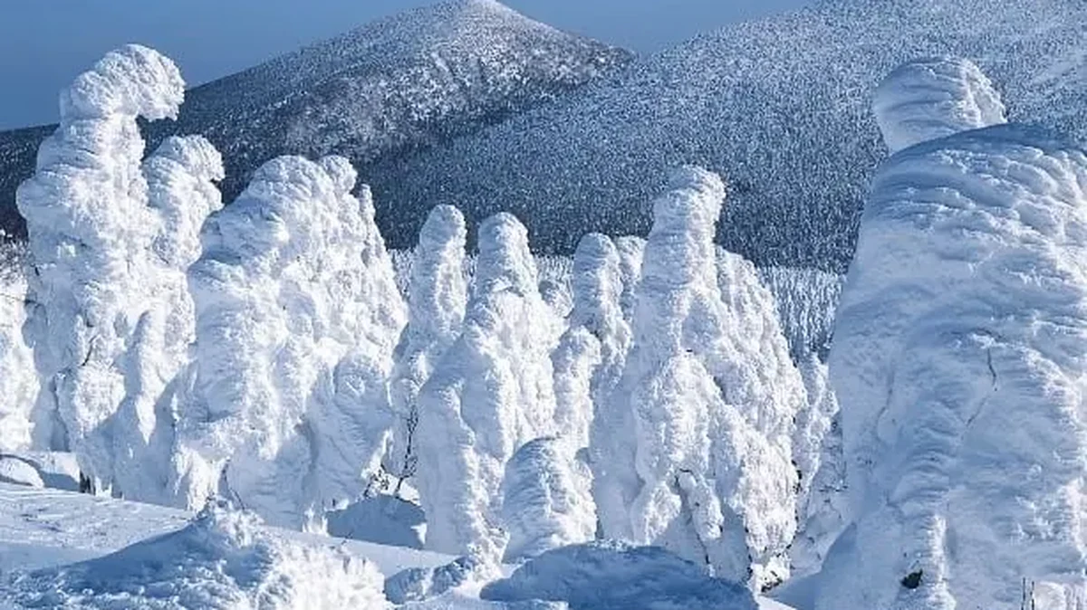冬天有雪